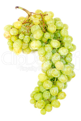 Grape