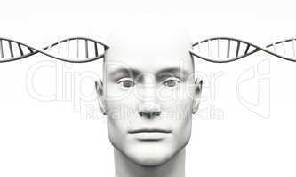Blanko White Male Head with DNA -12