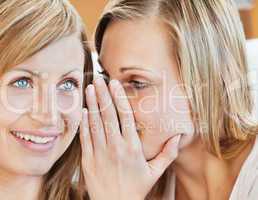 Portrait of two female friends telling secrets