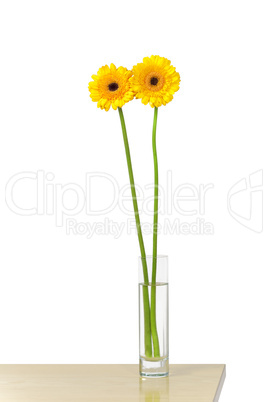 flowers flowers