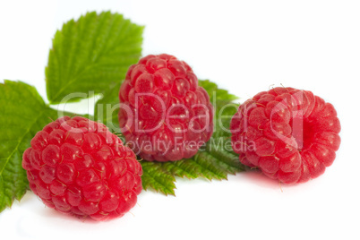 Raspberry fruits