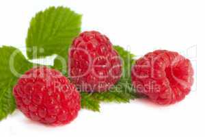 Raspberry fruits