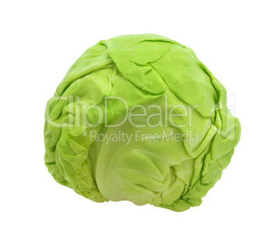 Cabbage