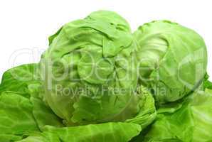 Cabbages
