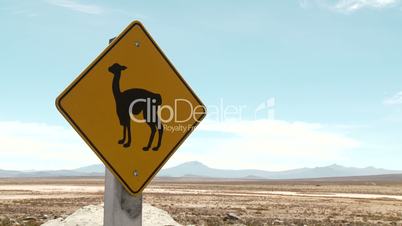 Lama Warnschild (Südamerika, Peru)