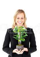 Portrait of a charismatic businesswoman holding a plant