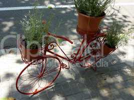 Red bicycle carrying plants