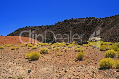 Teide-Nationalpark - Teneriffa