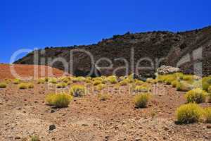 Teide-Nationalpark - Teneriffa