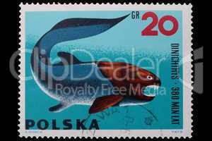Poland - CIRCA 1969: A stamp Dinichthys