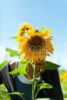 Frau versteckt sich hinter einer Sonnenblume