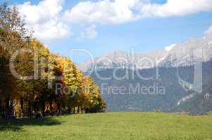 Fall in austrian alps