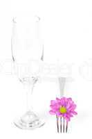 Sektglas und Gabel/ glass of champagne and fork