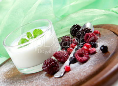 Frische Beeren mit Joghurt/ fresh berries with yoghurt