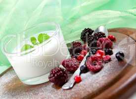 Frische Beeren mit Joghurt/ fresh berries with yoghurt