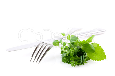 Besteck und Kräuter/ cutlery and herbs