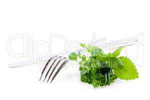Besteck und Kräuter/ cutlery and herbs