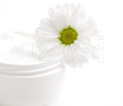 Cremetopf mit Blüte/ cream pot with flower