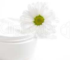 Cremetopf mit Blüte/ cream pot with flower