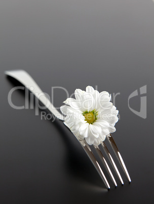 Gabel mit einer Margerite/fork with daisy