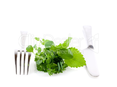 gesunde Kräuter und Besteck/ healthy herbs and cutlery