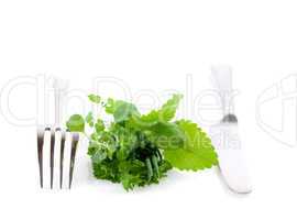 gesunde Kräuter und Besteck/ healthy herbs and cutlery