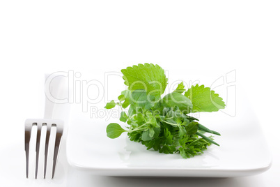 Kräuterbund auf Teller/ herbs on a plate