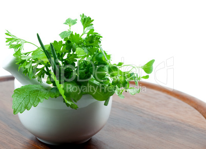 Kräutertopf/ pot with herbs