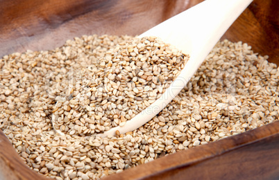 Sesam in Schale/sesame seeds in bowl