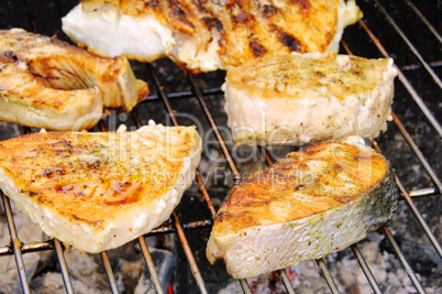 Grillen Fischsteak - grilling steak from fish 11