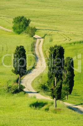 Toskana Huegel  - Tuscany hills 23