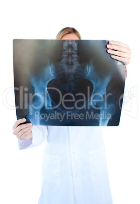 Concentrated female doctor hold ing a x-ray