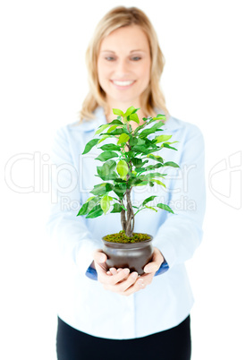 Portrait of a delighted businesswoman showing a plant to the cam