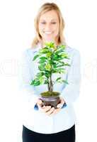 Portrait of a delighted businesswoman showing a plant to the cam