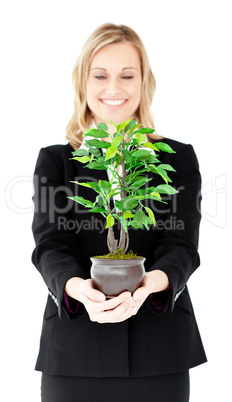 Charismatic businesswoman showing a plant at the camera