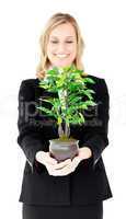 Charismatic businesswoman showing a plant at the camera