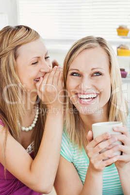 Joyful caucasian friends drinking coffee in the kitchen