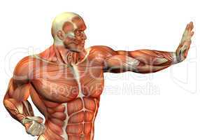 Muskelaufbau Body Builder in Kampf Pose