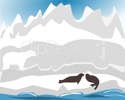 Eisbär bei der Jagd nach Robben