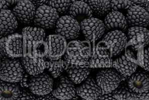 Black blackberry texture or background