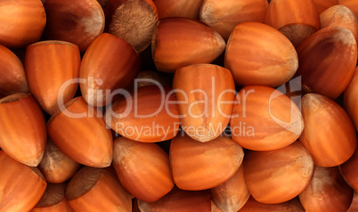 Filbert nuts texture or background