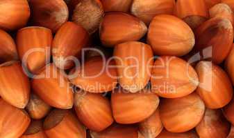 Filbert nuts texture or background