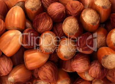 Hazel nuts and filbert texture