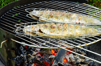 Grillen Forelle - grilling trout 08