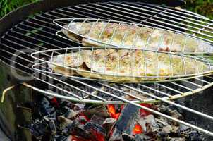 Grillen Forelle - grilling trout 08