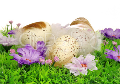 Ostereier auf Blumenwiese - easter eggs on flower meadow 45
