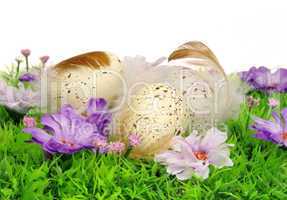 Ostereier auf Blumenwiese - easter eggs on flower meadow 45