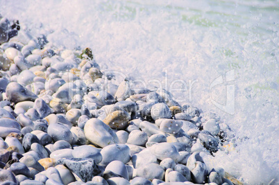 Pisa Strand - Pisa beach 03