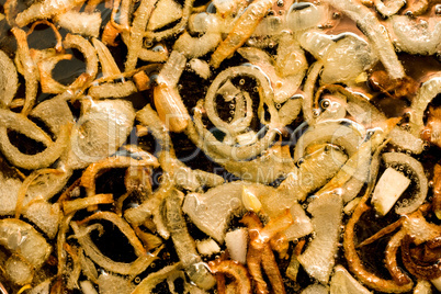 Close-up of Fried onion and oil