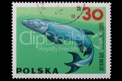 Poland - CIRCA 1969: A stamp Eusthenopteron